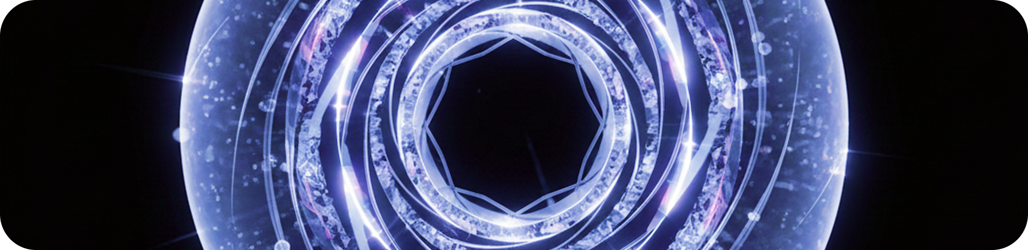 Visual abstract of SSFHE secure circuit